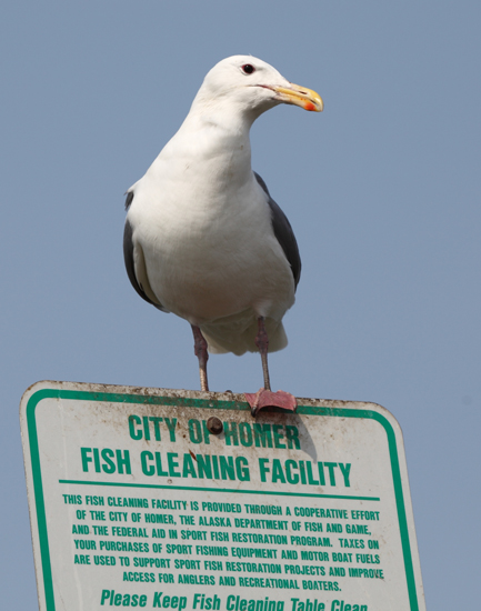 168