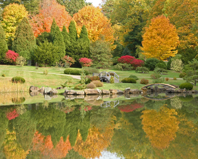 scenery Dawes
