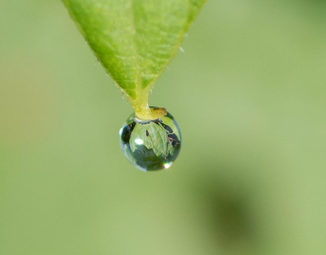 waterdrop
