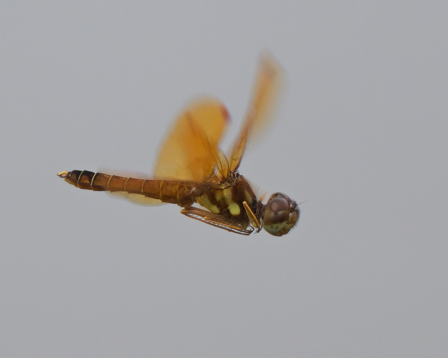 DSC_5329_099