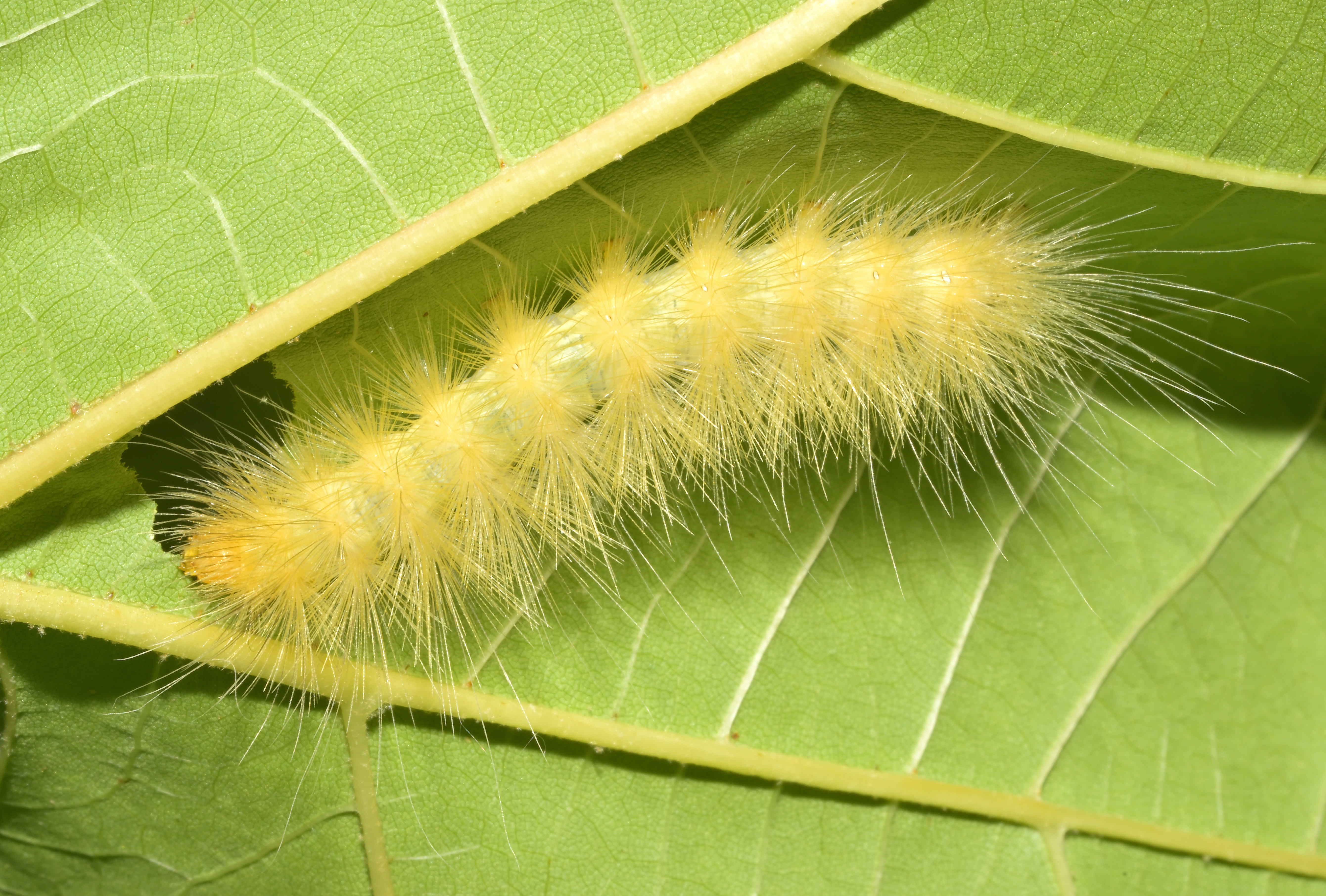 DSC_5488_157