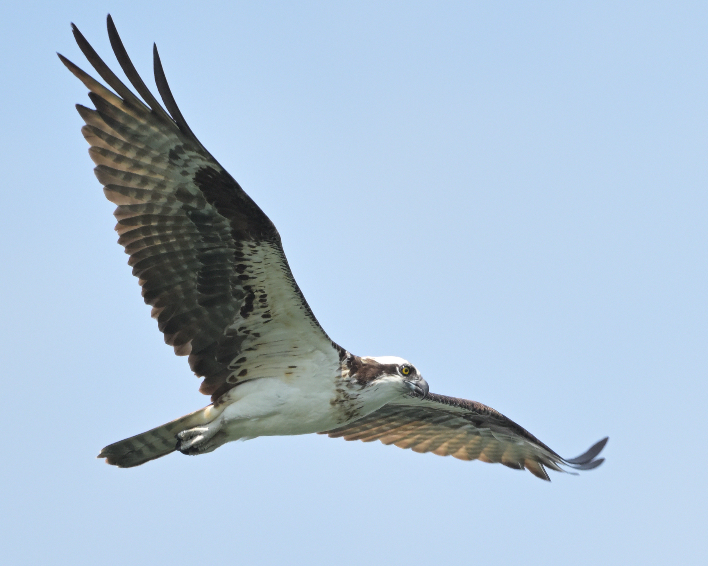 DSC_5629_039