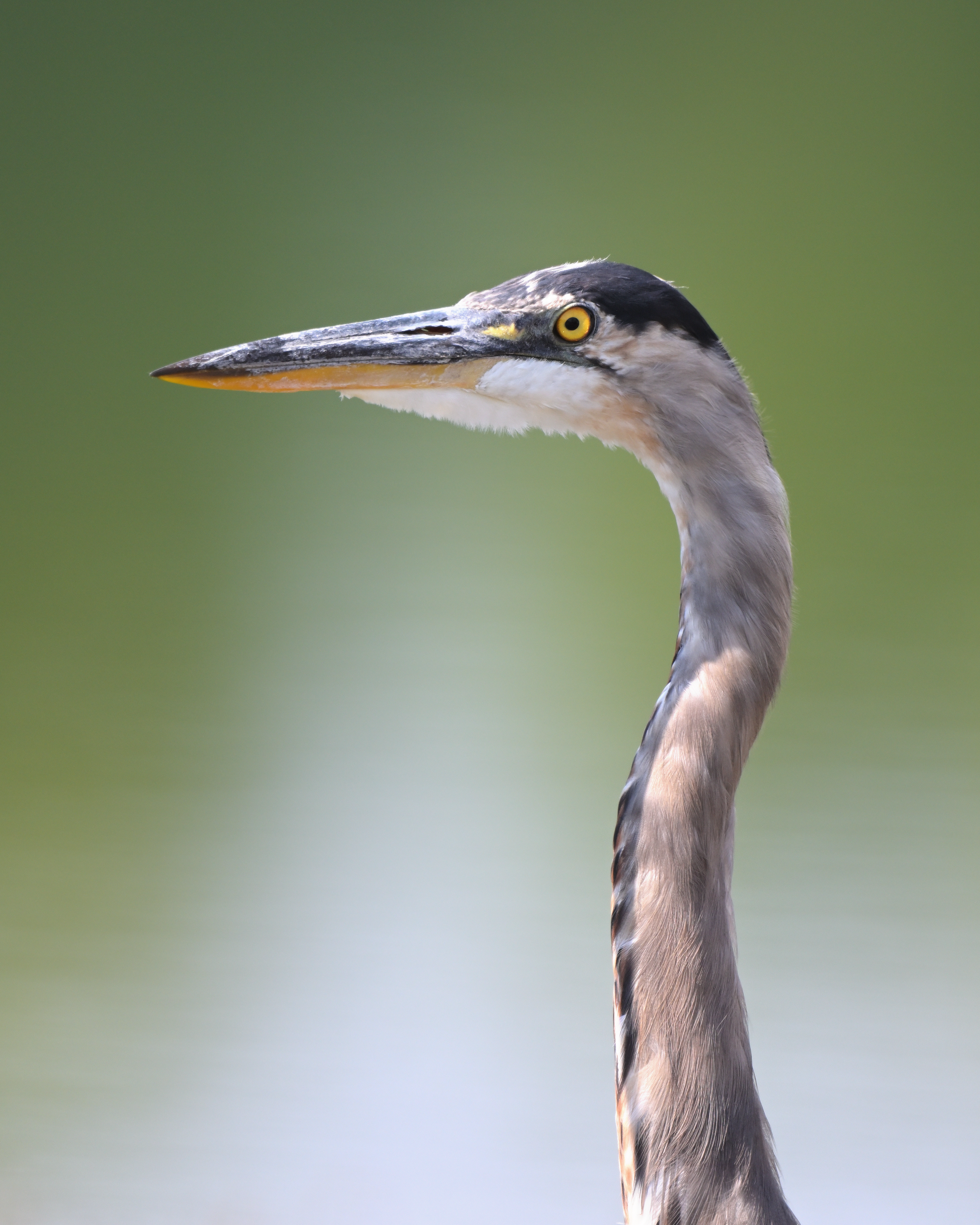 DSC_5696_065