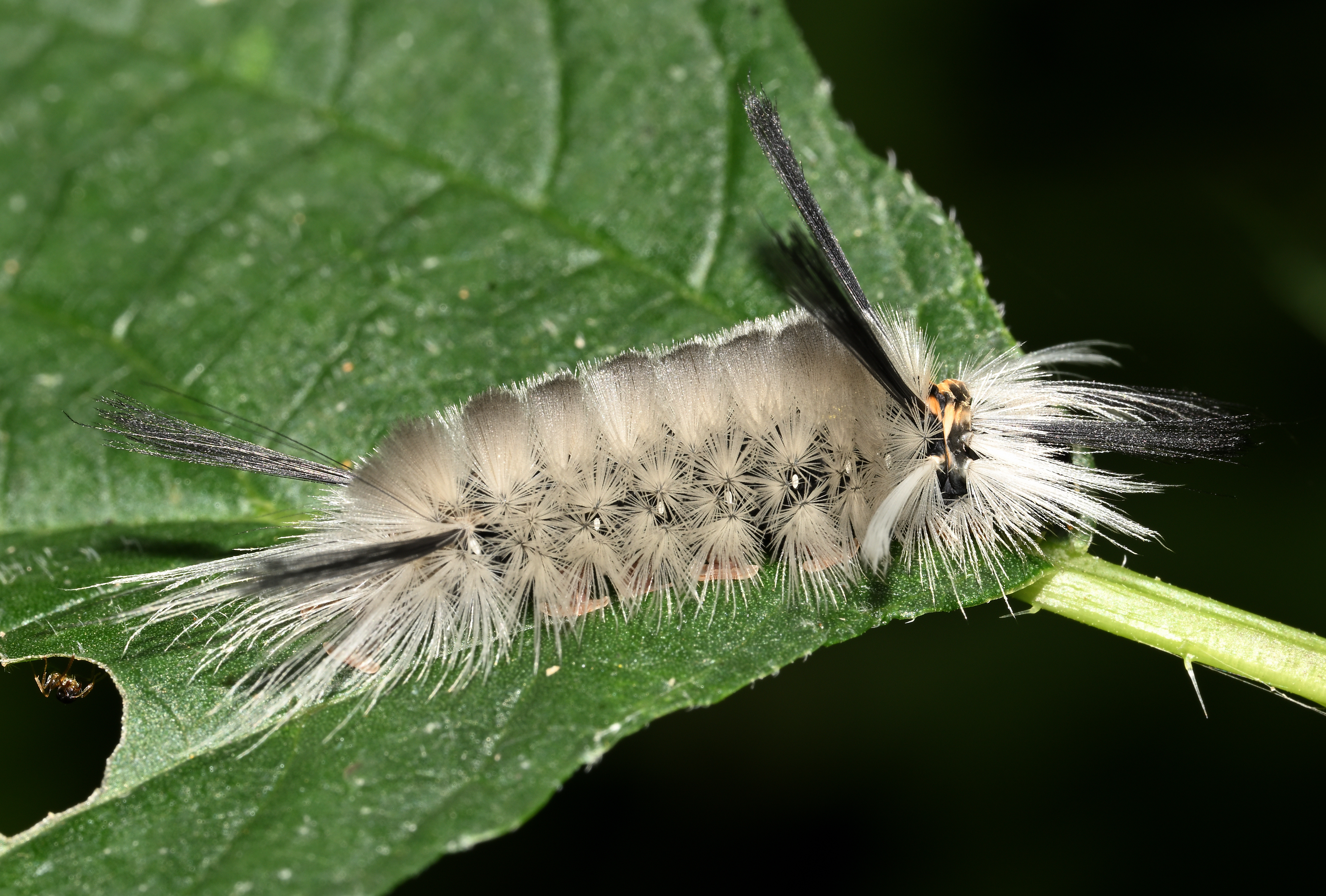 DSC_6094_f16