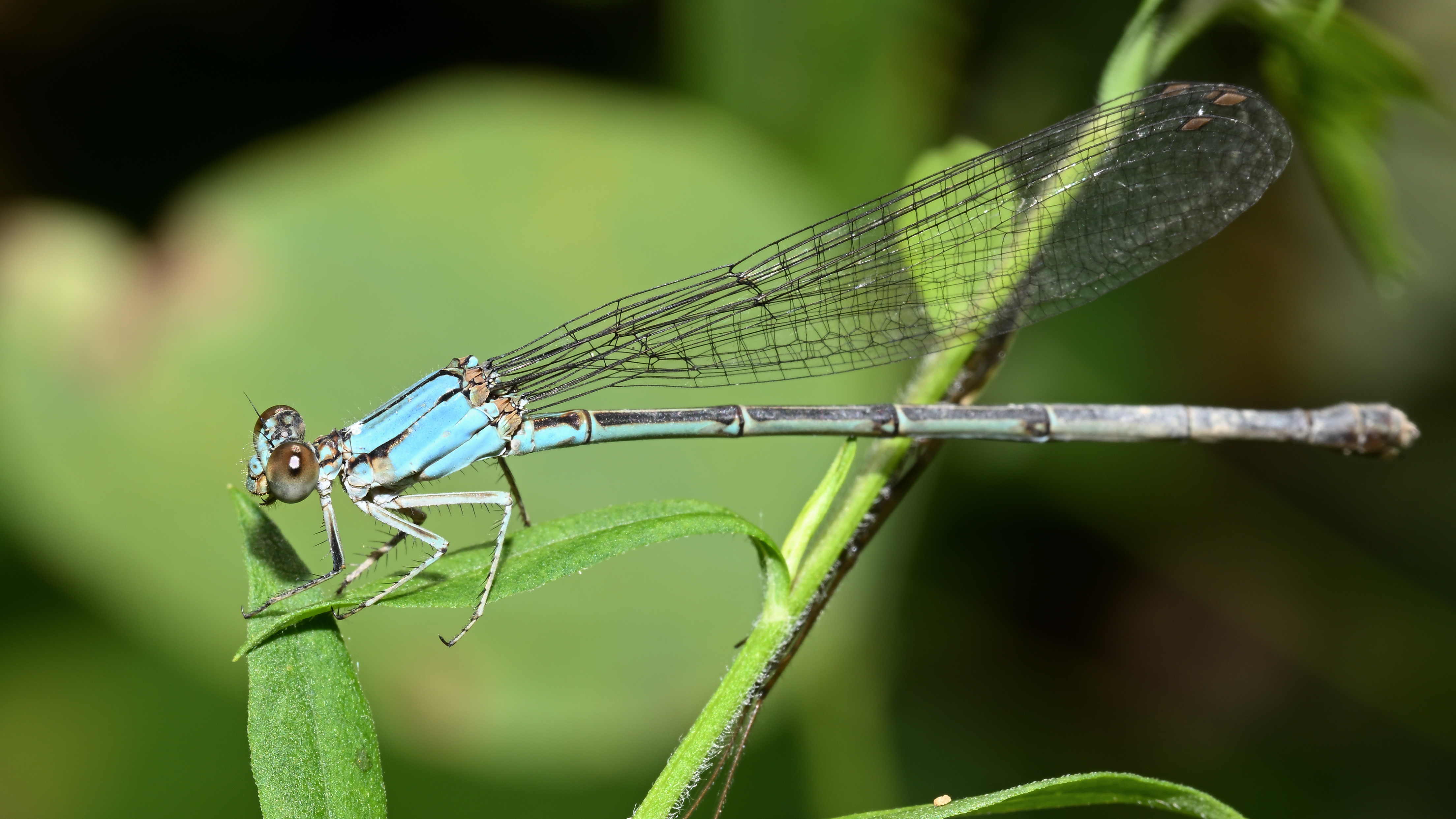 DSC_6108_f18