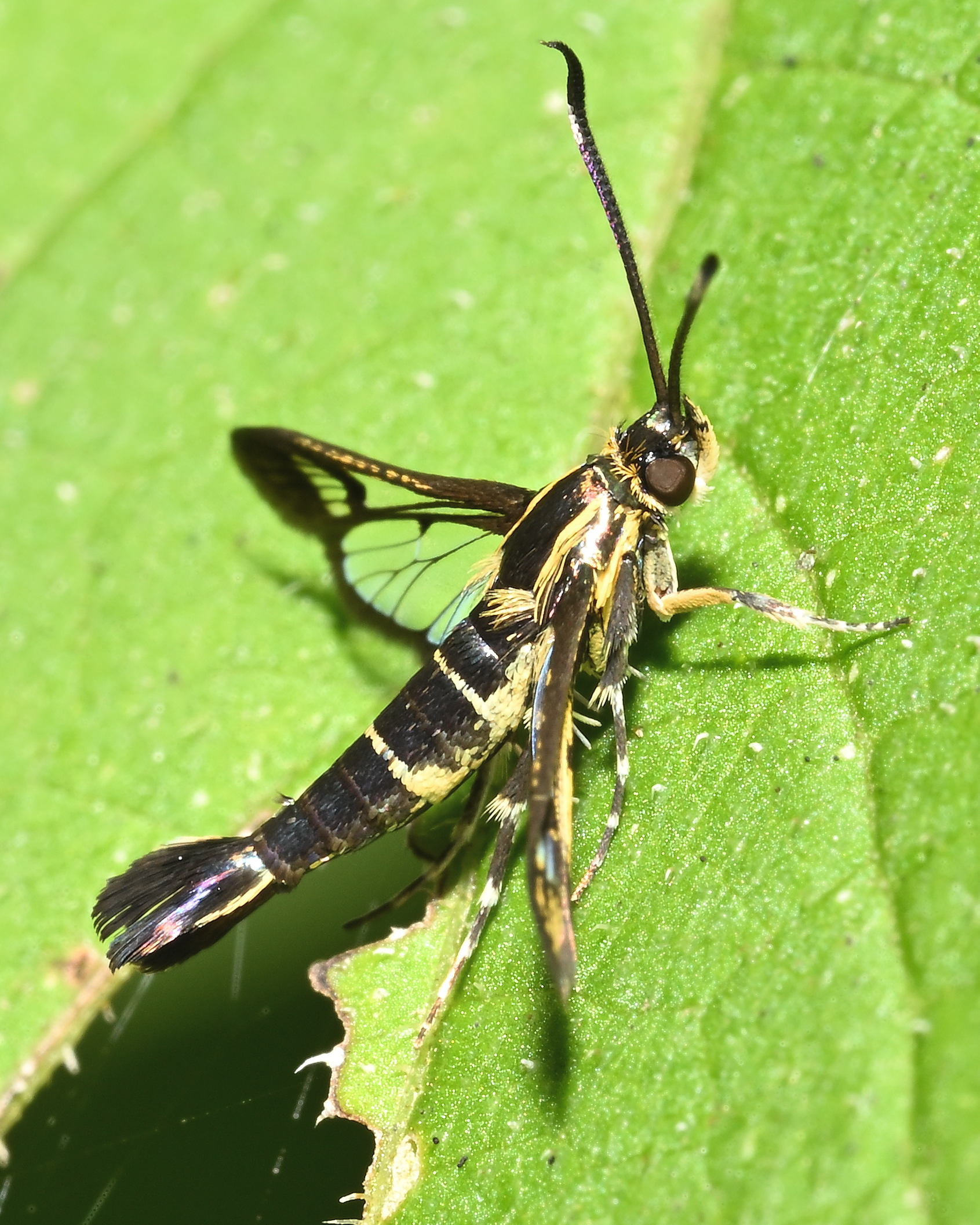 DSC_6117_f22