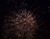 IMG_5416