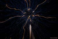 IMG_5460