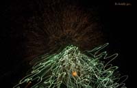 IMG_5484