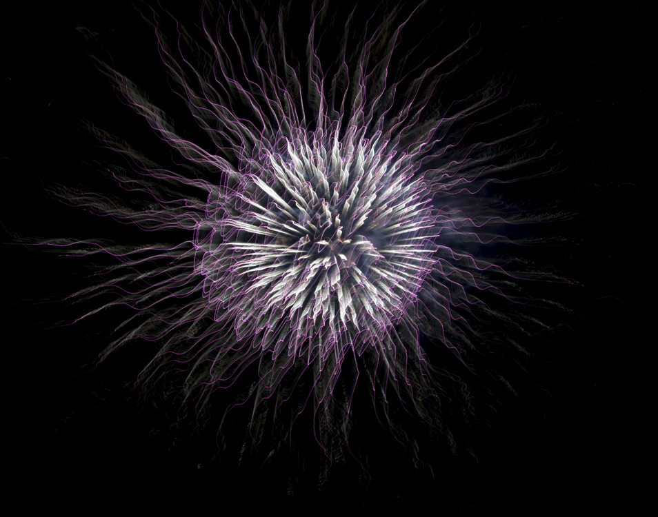DSC_2709
