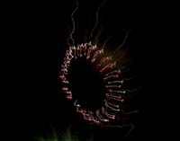 IMG_5588
