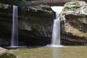 0T3A2232