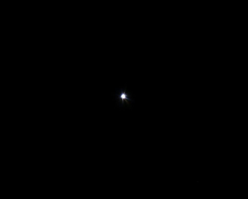 0T3A1659