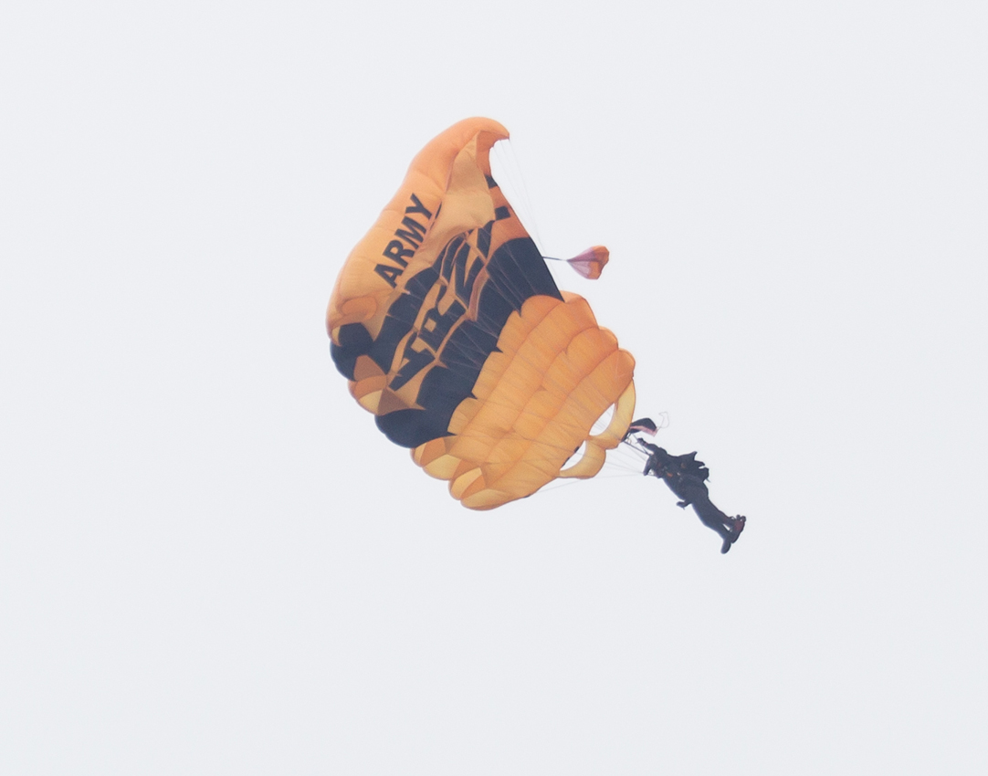 Golden_Knights_01