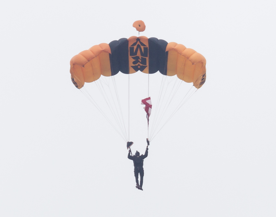 Golden_Knights_02
