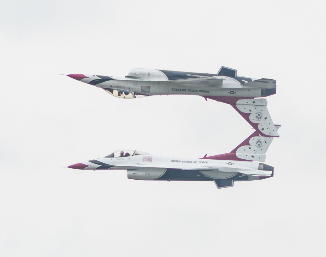 Thunderbird_09