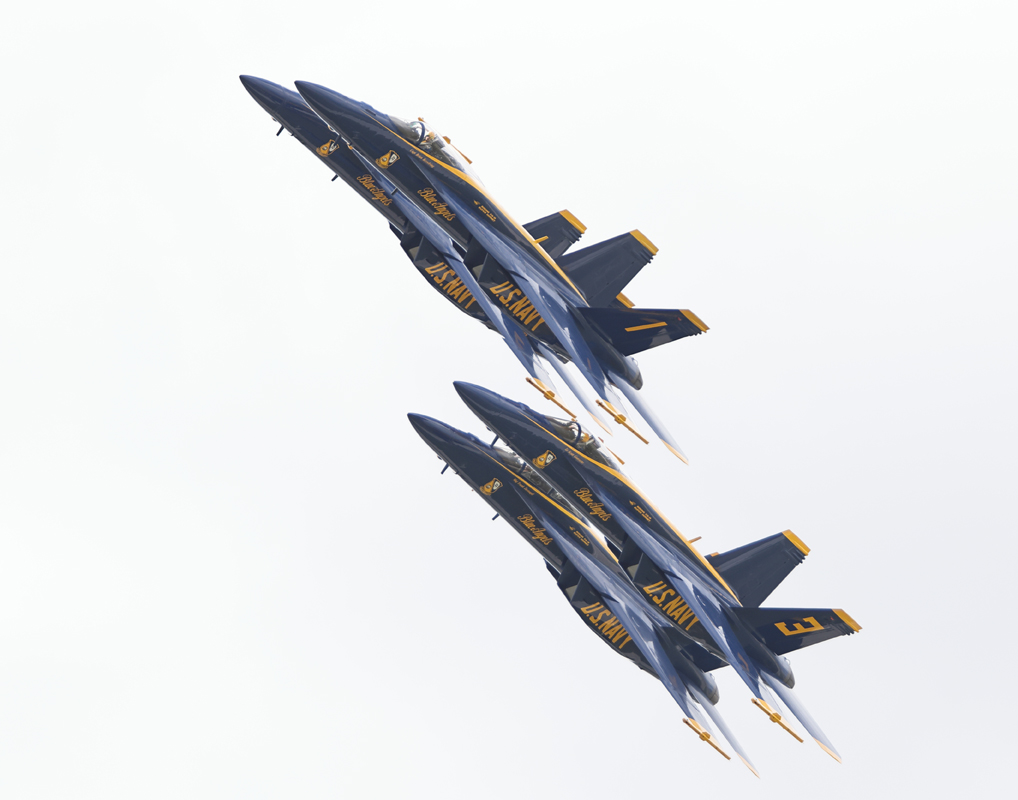 0T3A0146
