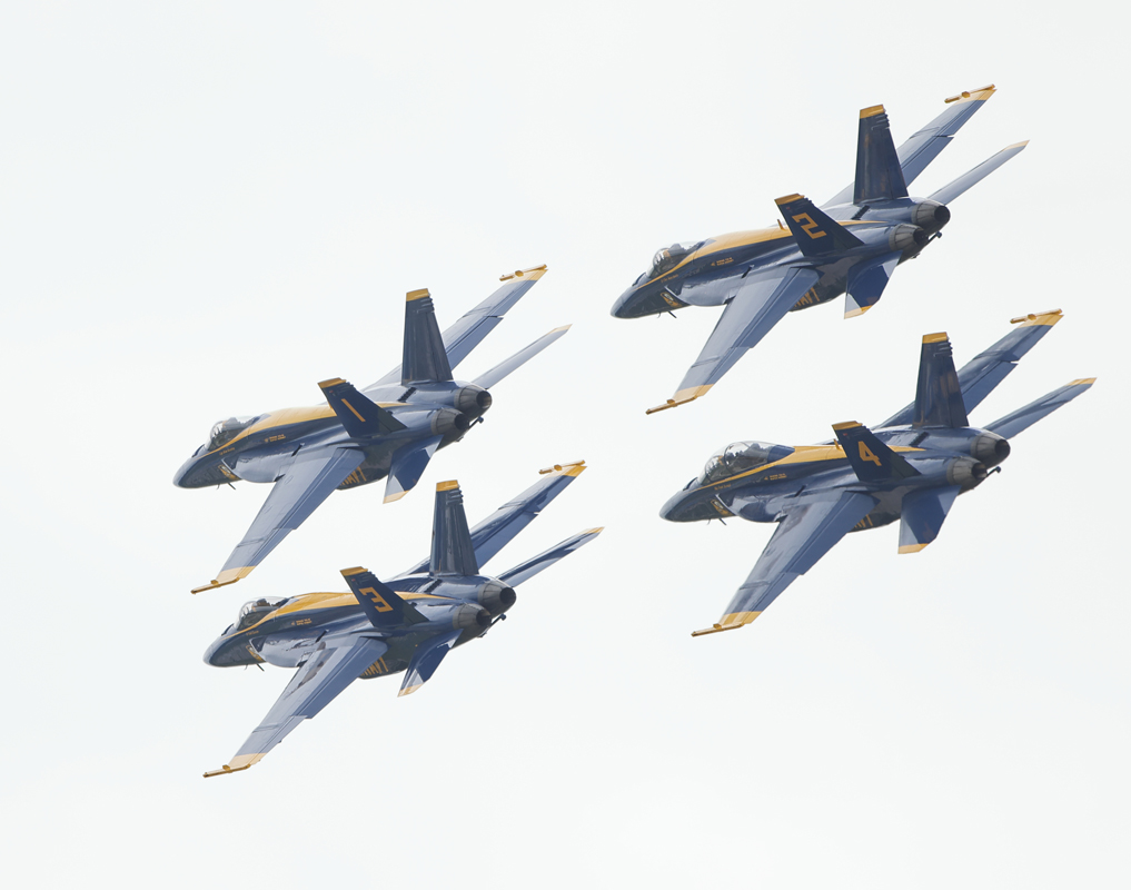 0T3A0151