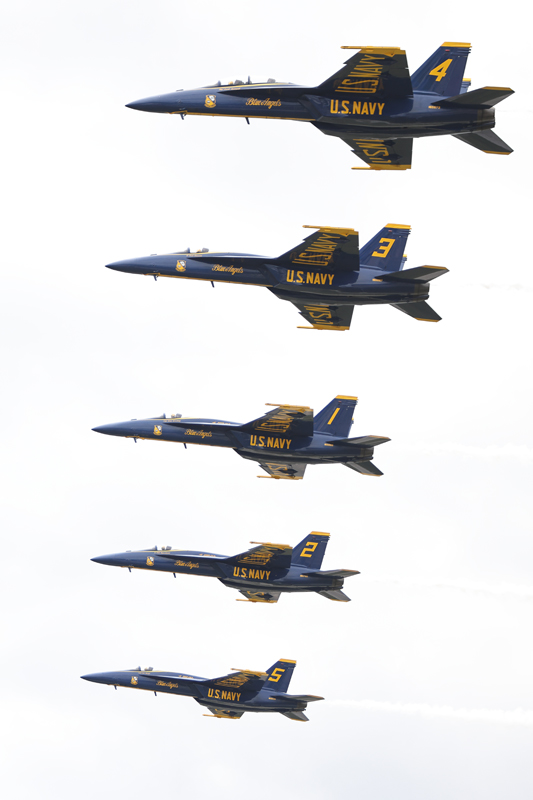 0T3A0229