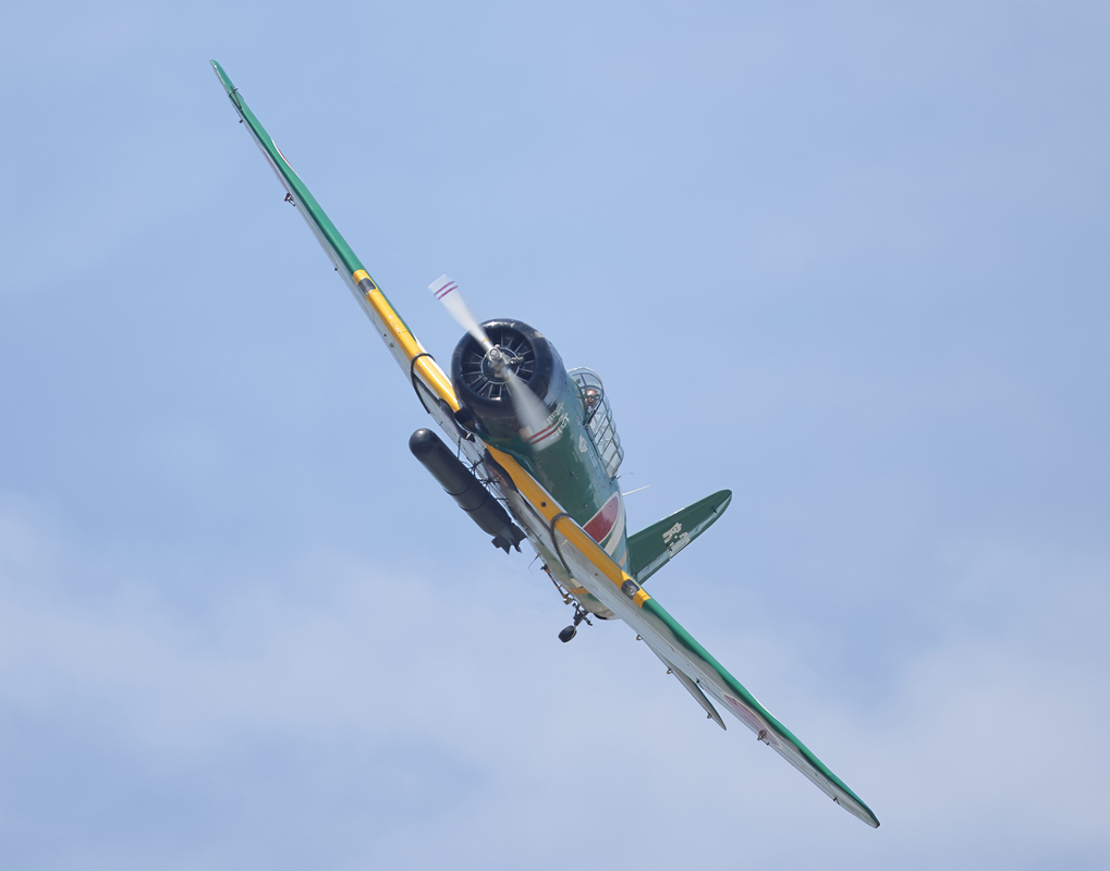 0T3A8851topazPhoto