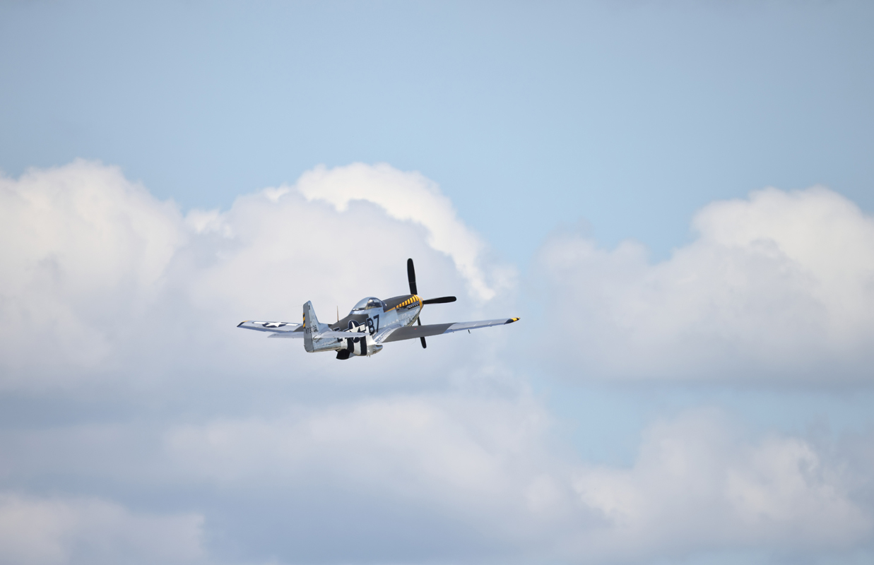0T3A8973topazPhoto