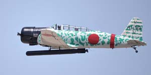 0T3A8731topazPhoto