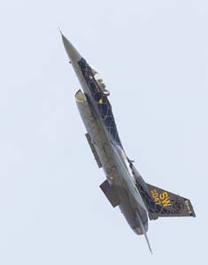 D61G0778topazPhoto