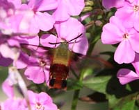 IMG_4055