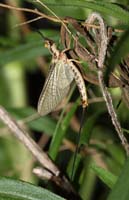 IMG_5657