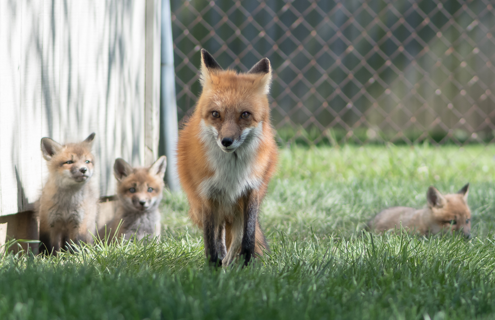 DSC_2285