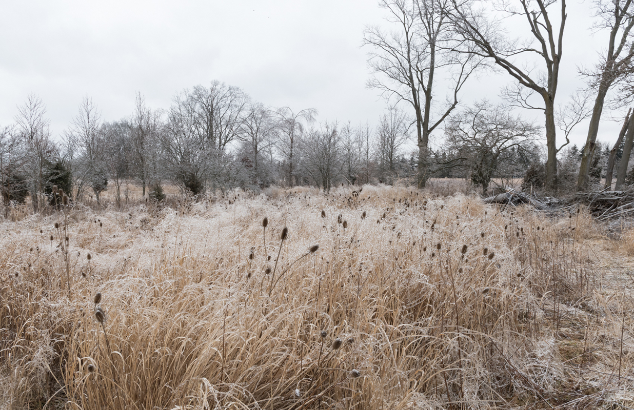 12_icy_park