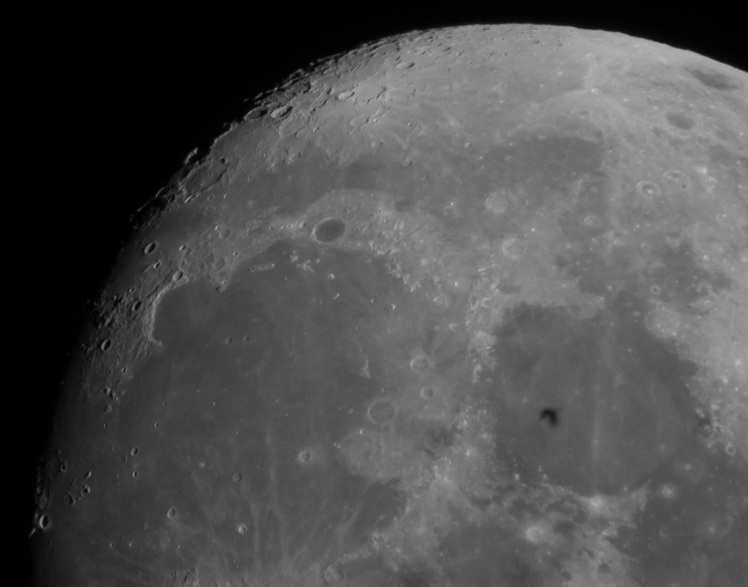 004_Birdshadowmoon_210917