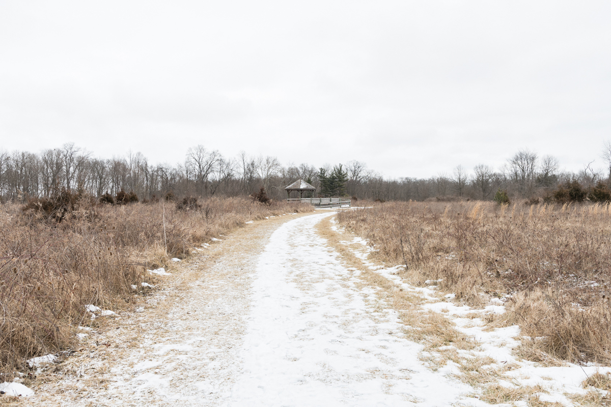 02_meadow
