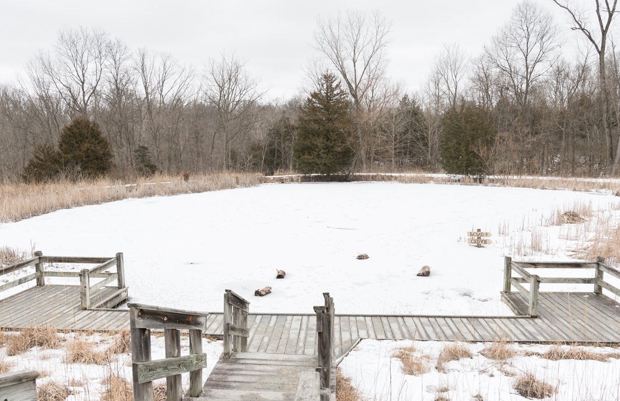 13_cedar_pond